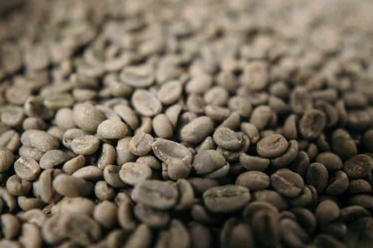 Torrefazione del caffè verde